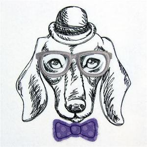 Team Page: The Dapper Dachsund